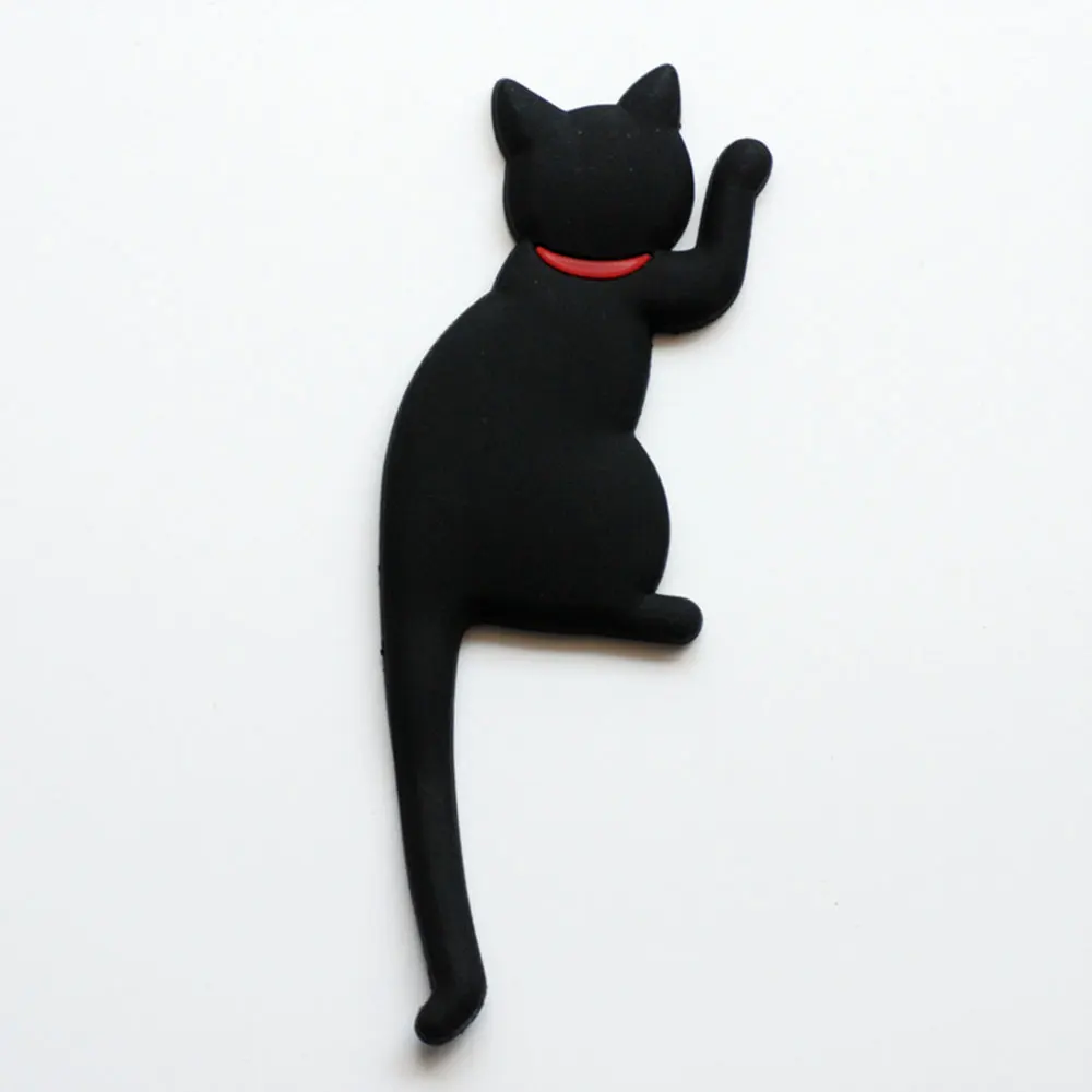 Black cat