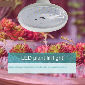 

Indoor potted succulent plant color fill light custom processing seedling flower led plant growth light