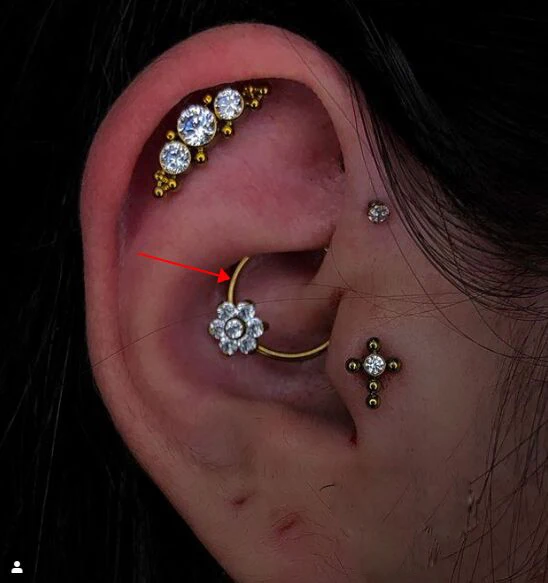 Кольца для пирсинга с этническим цветком в носу 16 г CZ Gem Septums Helix Tragus Daith хрящи сексуальные украшения для пирсинга тела