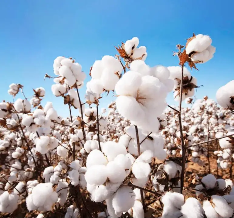 36020190103192839674