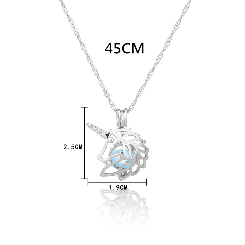 5568906652_1849977708