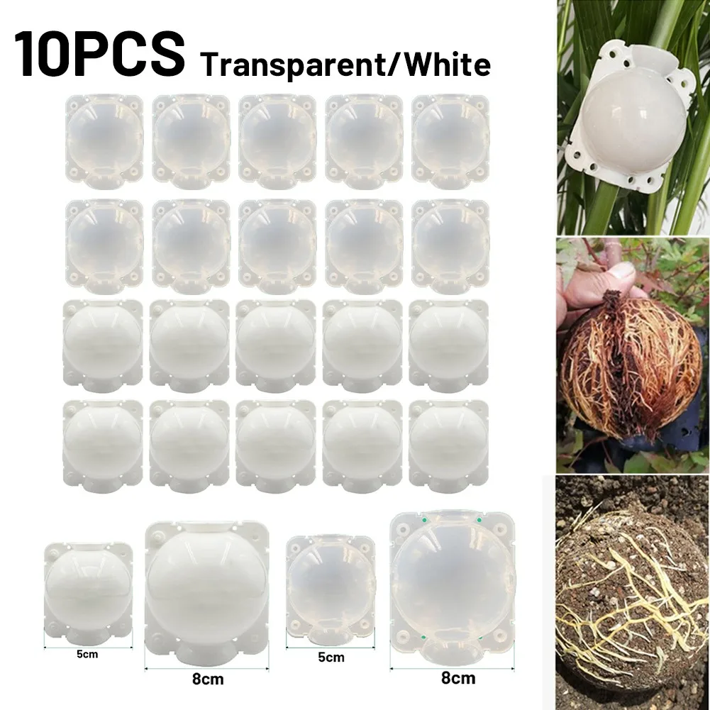 10pcs Plant Rooting Equipment High Pressure Propagation Ball Garden Graft Box Root Growing Box 5cm 8cm Transparent