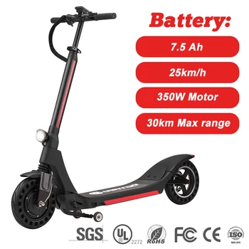 

10 Inch Electric Scooter Smart 2 Wheel Electric Scooter Skateboard Electric Scooters Adult Motorcycle Monopattino Elettrico