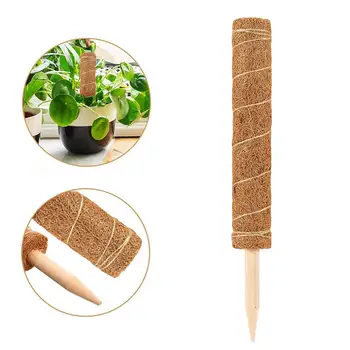 

Coir Moss Pole Garden Coir Moss Stake For Plant Support Extension Indoor Climbing Plants Creepers