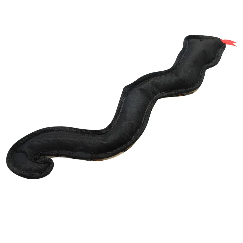 10715848900_1061075933