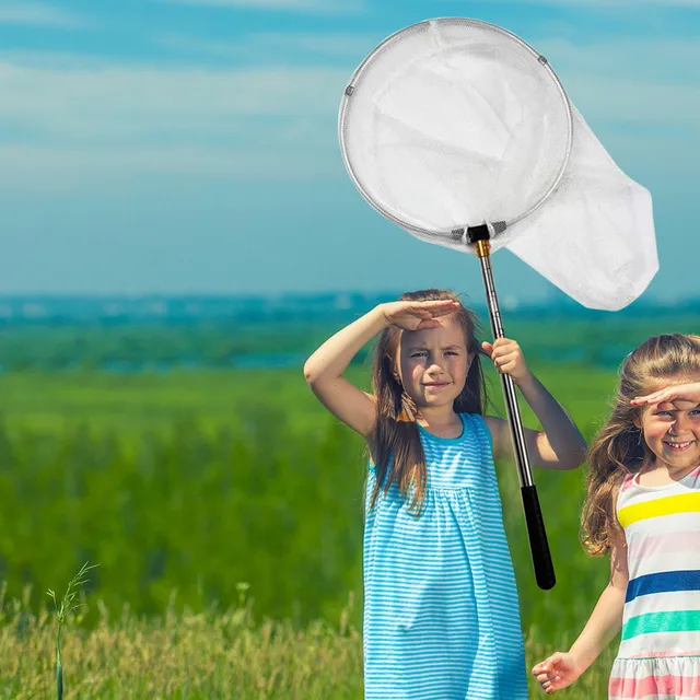 Rozsdamentes Acél Strand Behúzható Rovarháló Ultra-Rövid Pillangó Rovar Nettó Táska Rovarok Kis Halak Fogó Háló - Image 2
