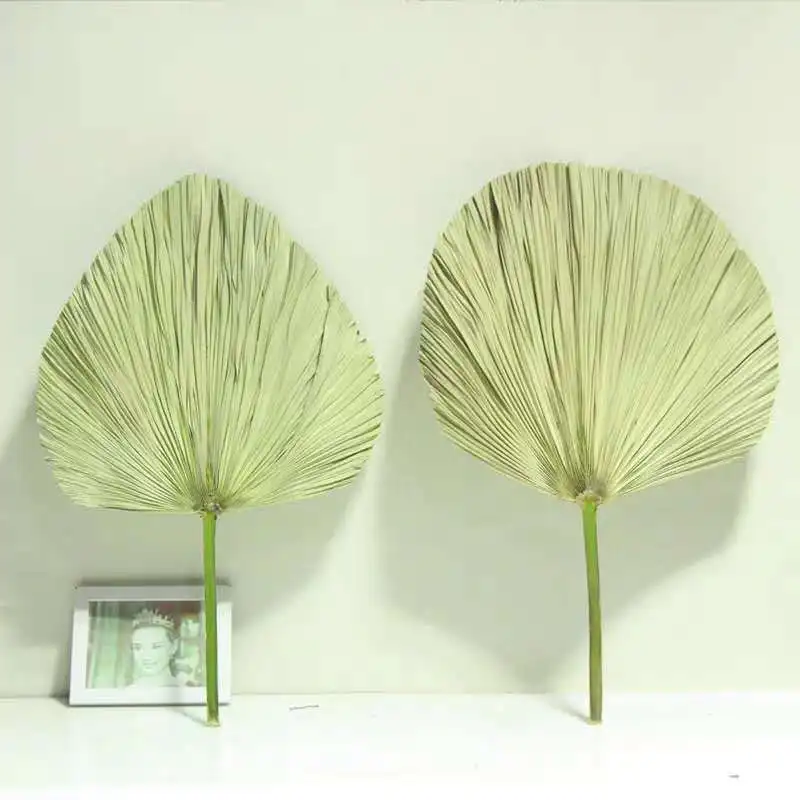 2 pcs Dry cattail leaf dry palm sunflower banana material wedding decoration | Дом и сад