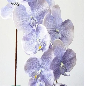 

Ngryise 500Pcs A Set orchid