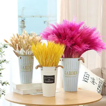 

Trawa Pampasowa Rabbit Tail Grass Pampas Decoration Kerst Natural Plants Reed Dried Flower Home Decor Bouquet Wedding Party Diy