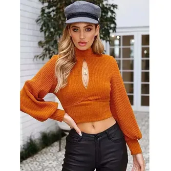 

New Sexy Backless Turtleneck Sweater Women Pullover Lantern Sleeve Autumn Winter Casual Knitted Sweater Tricot Pullover Jumpers