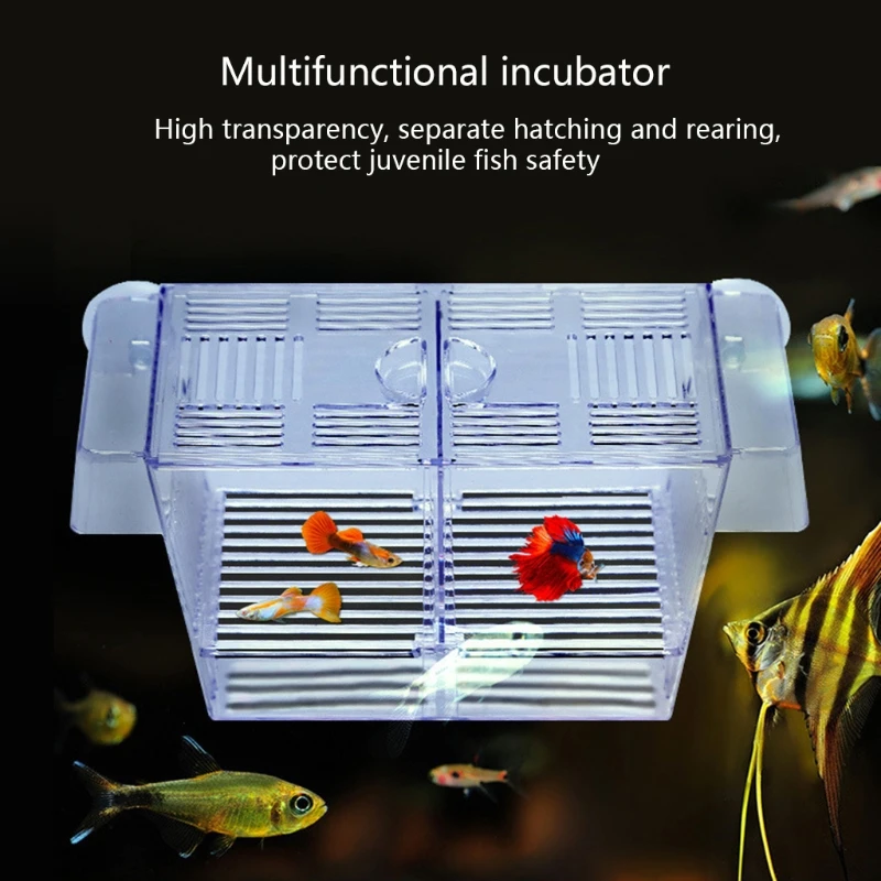 Fish Breeding Box Clear Isolation Box Aquarium Hatchery Incubator with Suction Cups for Newborn Shrimp Guppy 2 Sizes