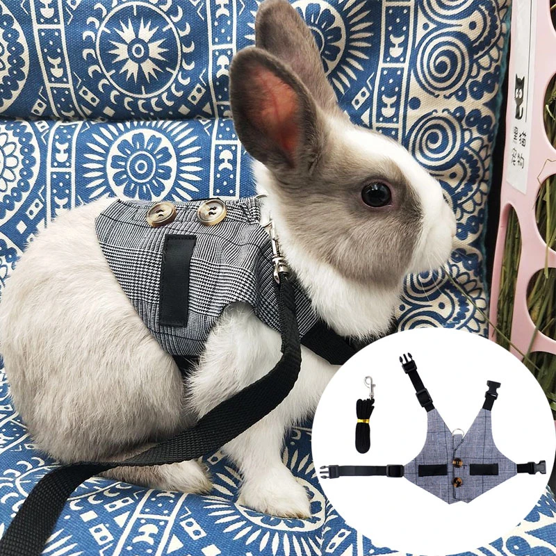 Arnés y conejos mascotas pequeñas, ropa para conejos, accesorios para hámster, cofre de conejo| | - AliExpress