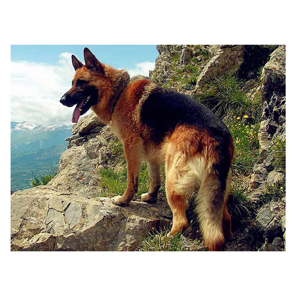 HTB11MdHI4GYBuNjy0Fnq6x5lpXai