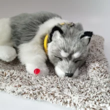 Моделирование игрушки собака с активированным углем для детей игрушки Рост игрушка-приятель средства вбейте формальдегид очищает воздух