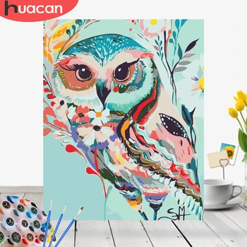 

HUACAN Oil Painting By Numbers Owl Animals Drawing Canvas DIY Pictures By Numbers Wall Art Hand Painted Home Decor