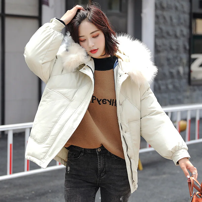 

Short down Jacket Cotton-padded Clothes Women's 2019 New Style Versatile INS Large Fur Collar Small Cotton-Padded Jacket Winter
