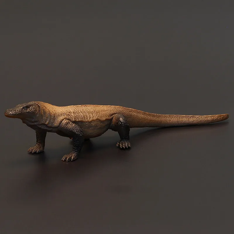 Children Animal Model Real Life Komodo Dragon Simulation Lizard Mini Lacertid Science Educational Teaching Aid Biology Learning Action Figures Aliexpress Children Animal Model Real Life Komodo Dragon Simulation Lizard Mini Lacertid Science Educational Teaching Aid Biology Learning Action Figures Aliexpress