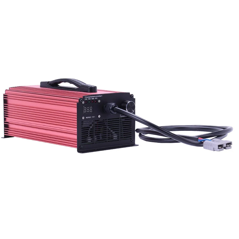 12v24v Ternary Lithium Iron Phosphate Battery Charger 30a40a14.6v29.2v for Rv 100a400ah warehouse Plug