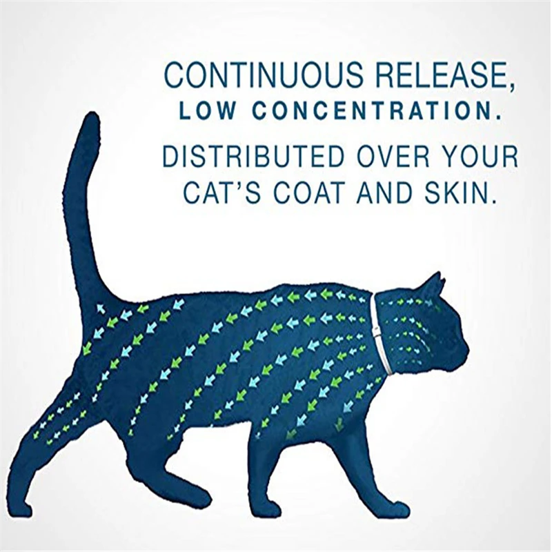 10844883910_906868034