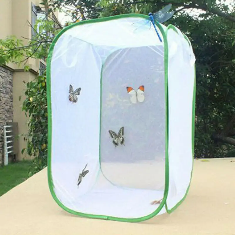 Jaula para insectos plegable, malla de superficie transparente, portátil, con cremallera