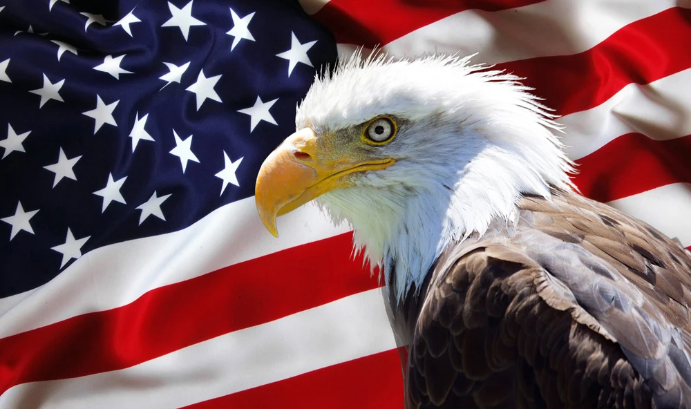Flag with Eagle Full Round Poured Glue Diamond Mosaic Painting Kits Scalloped Edge Animals Art 5D DIY Embroidery Set Decor Home | Дом и сад