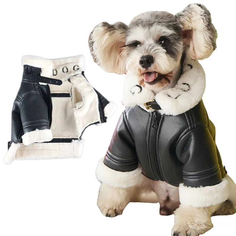 

Dog Coats for Small Dogs Teddy Schnauzer Pomeranian Bichon French Bulldog Luxury Dog Clothes Fashion Dog Leather Jacket 2XL