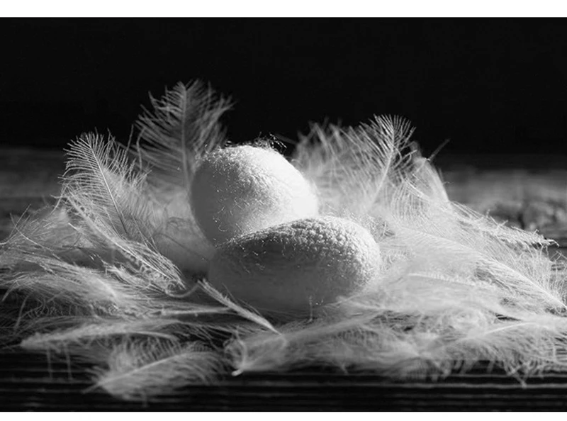 13243486705_21211961501