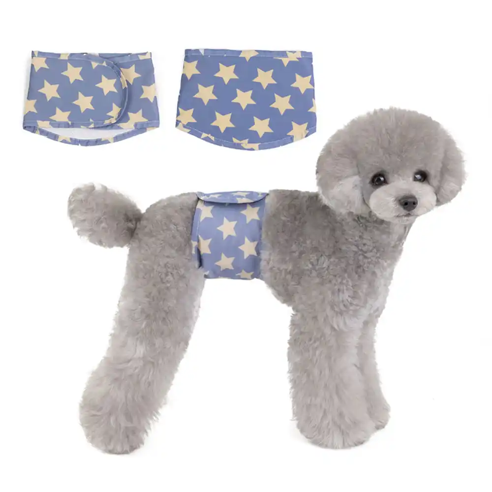 dog diaper band