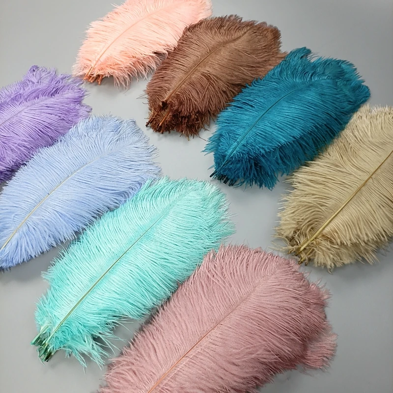 Wholesale 10Pcs/Lot New Colorful Ostrich Feathers White Black Feather Decor Plumes Vases Party Wedding Accessories Decoration