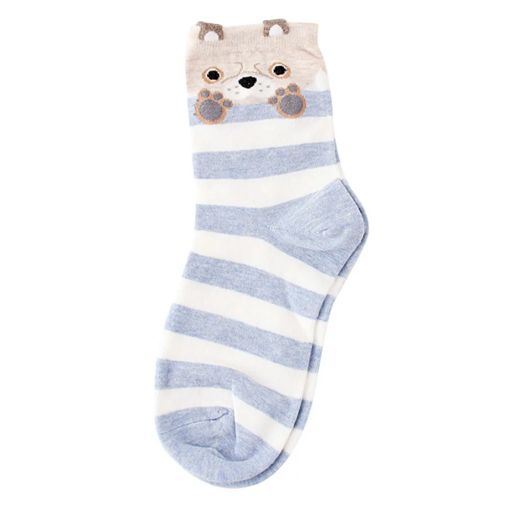 XLP81207697_20181207035140864