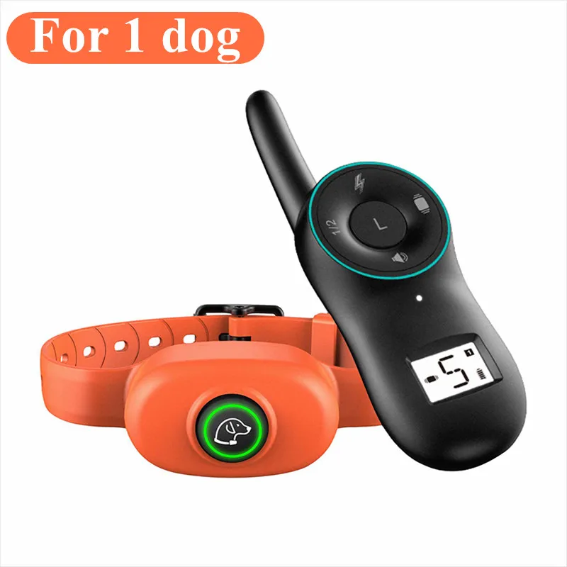 For 1 dog-10