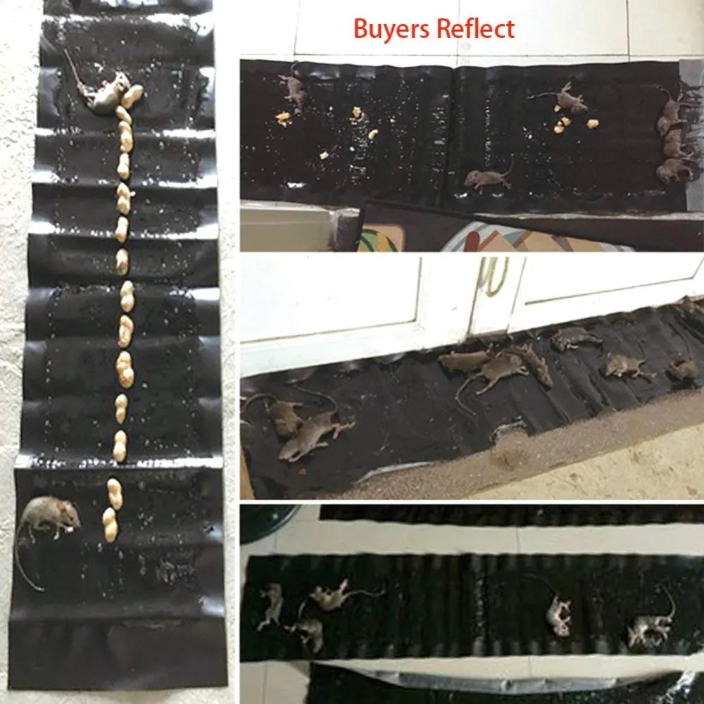 7102c26BsGL._SL1001_