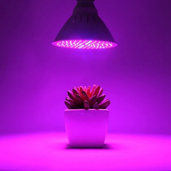 

LED Grow Light Succulent Home Indoor Outdoor Flower Easy Use Adjustable Gooseneck Seedlings Double Head Clip-on Accessories Tent