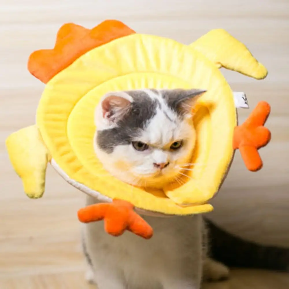 Cat anti scratch collar Outlet