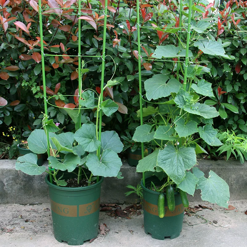 

Adjustable Plant Support Growing Plants Stand Rack Traction Vine Climbing Rack Flower Pot Potted Plant Fixture Basin Stand