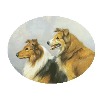 

Collie Two shepherd Cross Stitch Kits Clear Picture Top Quality sewing kit Crafts 14CT Unprinted Embroidered Handmade Art Decor