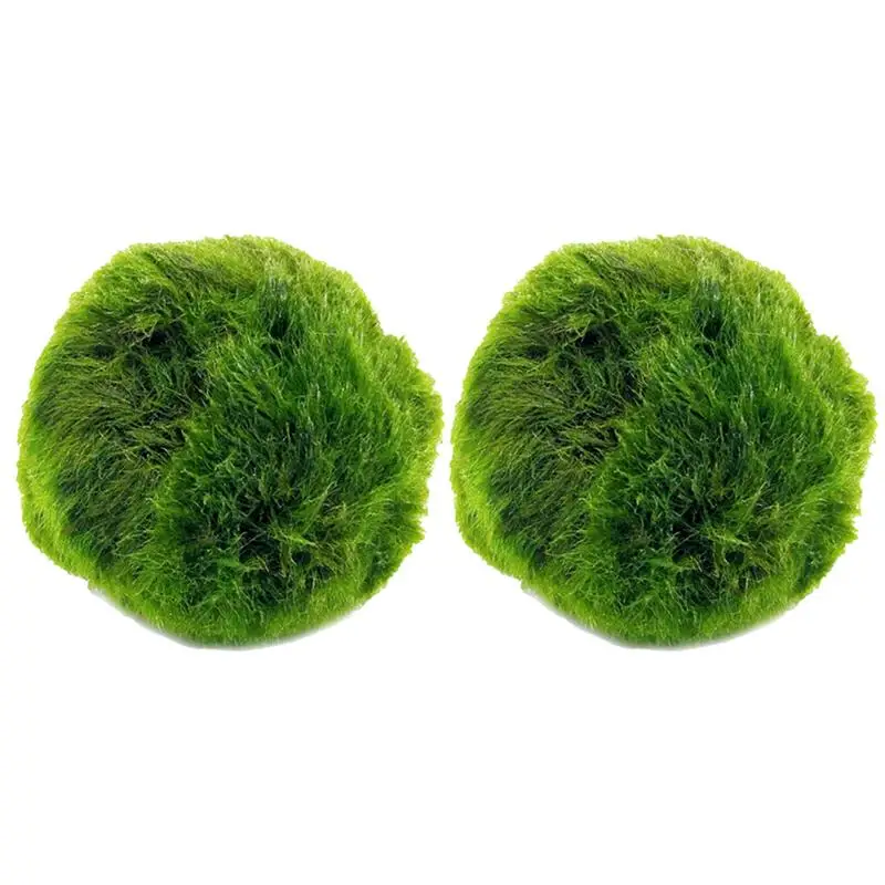 2 шт. зеленый мох Marimo мяч водные растения Cladophora мяч террариумные орнаменты для аквариума диаметр