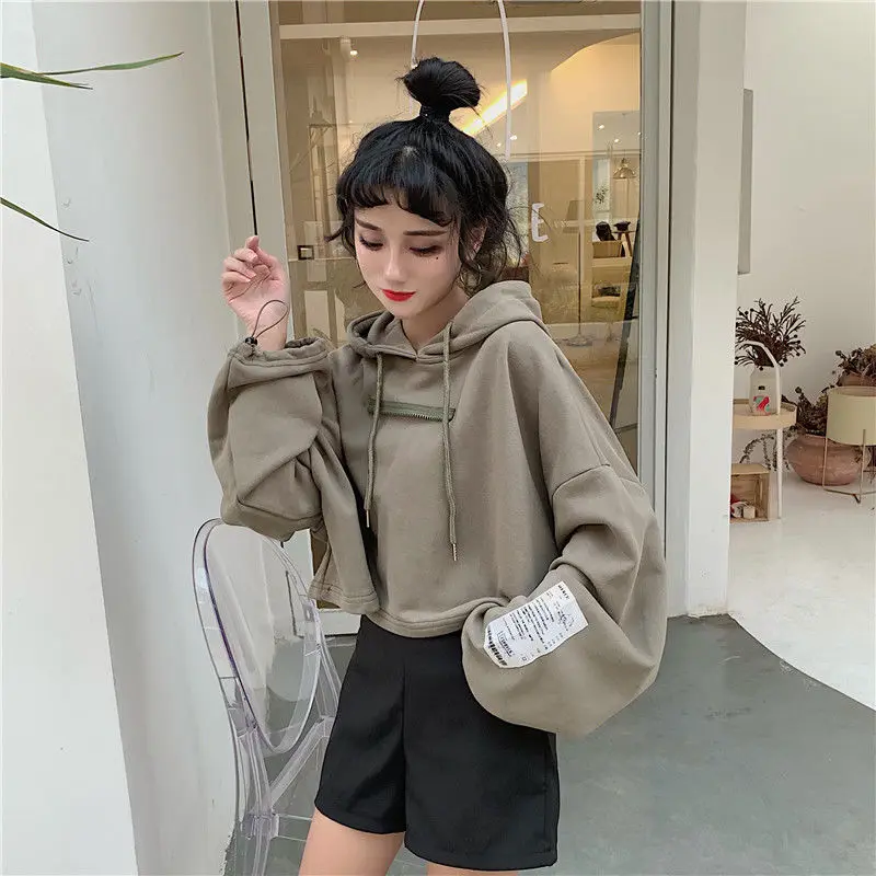 Chaink_1 Hoodies Womens Fashion Classic Casual Plus Size Long Sleeve Solid Sweatshirt Slim Spring and Autumn Warm Hooded Pullove Outwear with Pocket 2019 New 