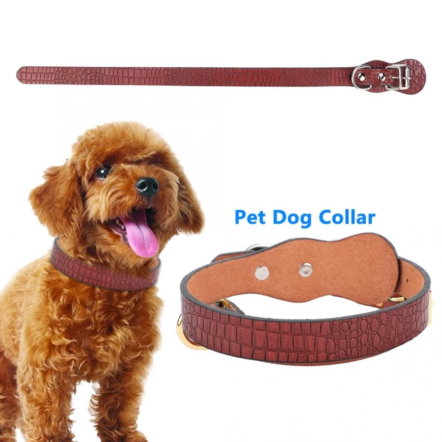 special dog collars