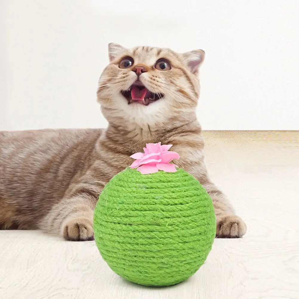 Wear Resistant Woven Sisal Cat Scratch Cactus Ball Wood Base Pet