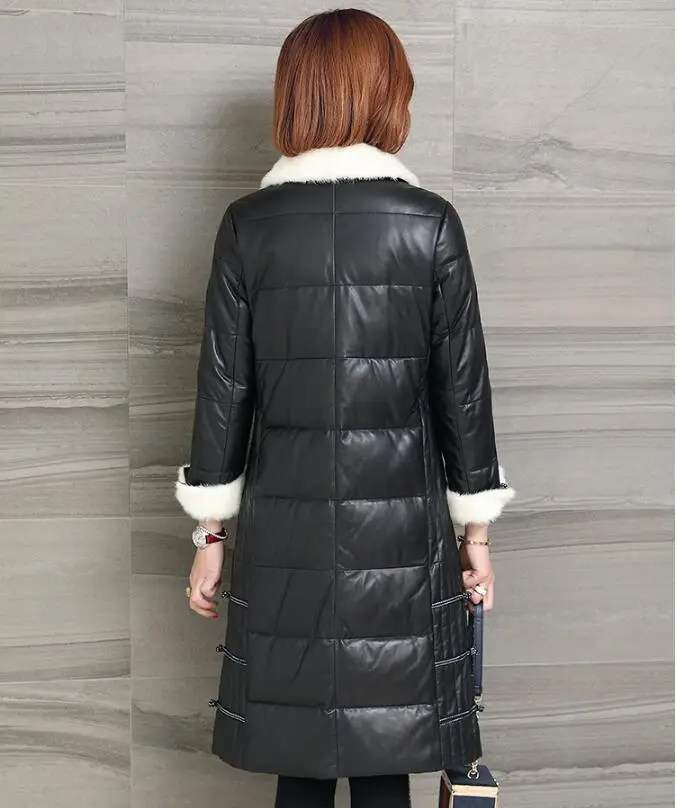 QQ0808112537