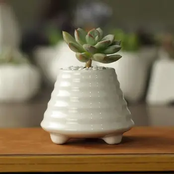 

5 Pcs Simple White Succulent Plant Pot Ceramic Succulent Plant Flowerpot Flying Saucer Shaped Planter