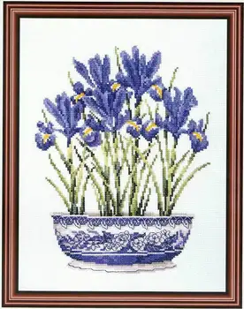 

Kit de Punto de Cruz Iris K4151 de DMC