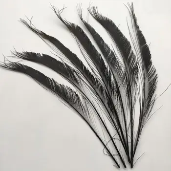 

Pretty 500 pcs Black Feather Sword 12-14inch/30-35cm Left and Right Symmetric Hat Craft Making Party Decoration Accessories