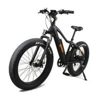 2019 new 48V lithium battery adult mountain electric car