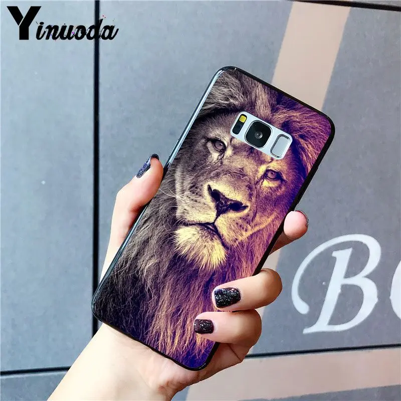 Animal Lion Wolf Owl Elephant Lion Tiger