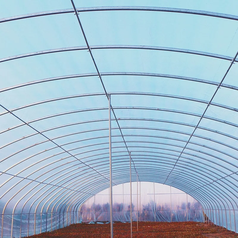 Single 8m wide super long tunnel agricultural planting plastic greenhouse