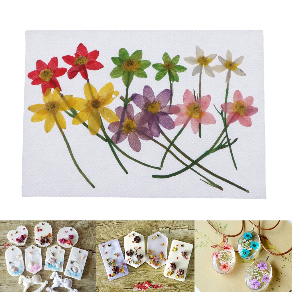 

12Pieces Natural Pressed Dried Flowers Leaves DIY Wedding Arts and Crafts