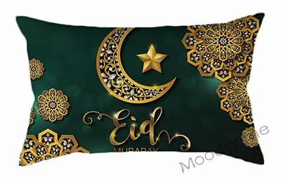 conew_t495 (15) 副本