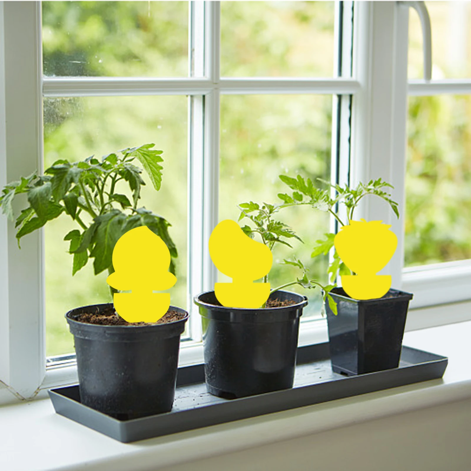Schede Di Insetti Appiccicosi Fiore Farfalla Controllo Dei Parassiti All'Aperto Pp 8.5X12.5Cm Giallo Frutta Gnat Trap Fly Fungo Killer Catcher